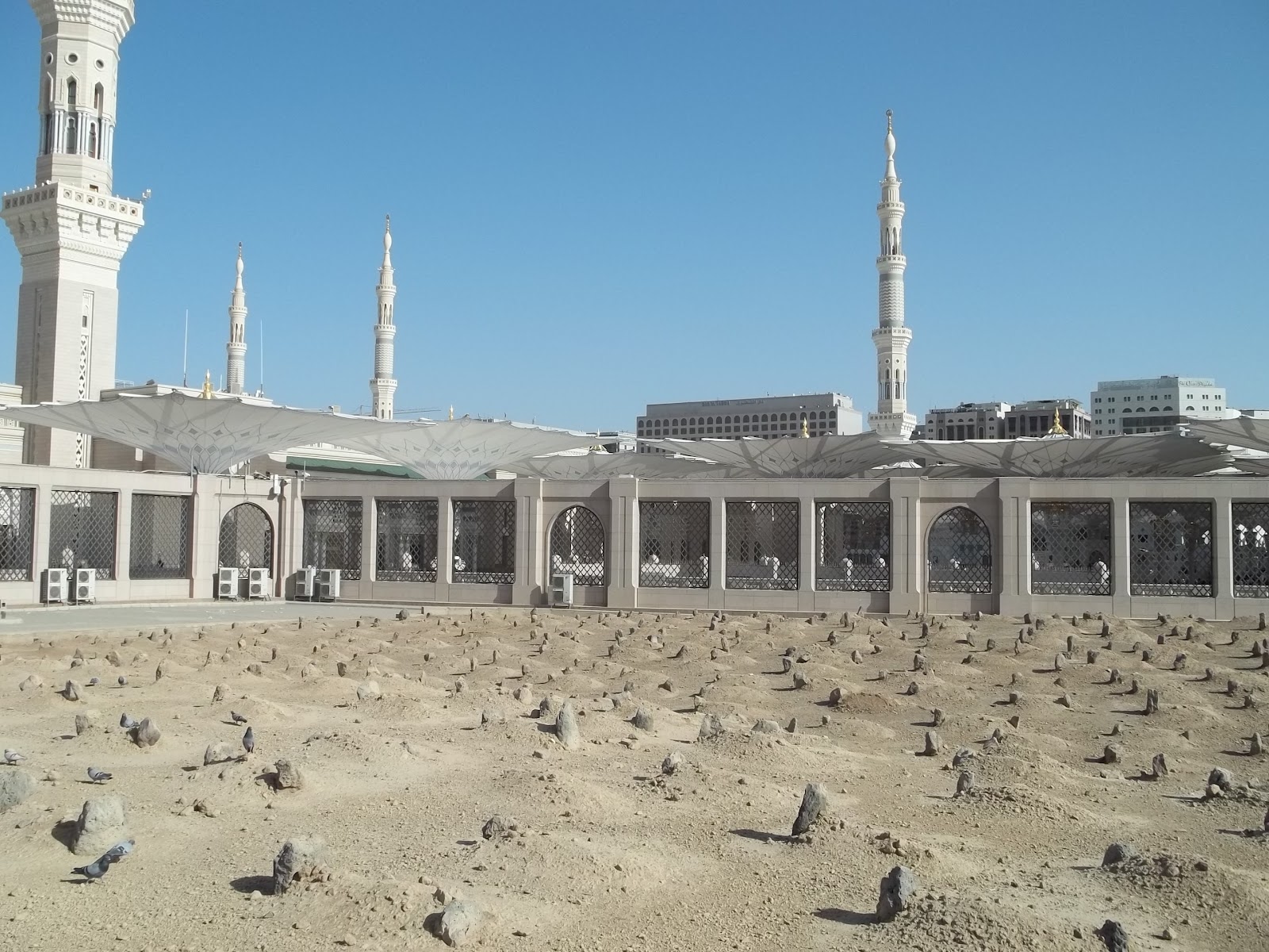 BAQI'